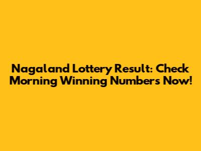 Nagaland Lottery Result: Check Morning Winning Numbers Now!