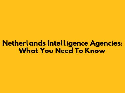Netherlands Intelligence Agencies: What You Need To Know