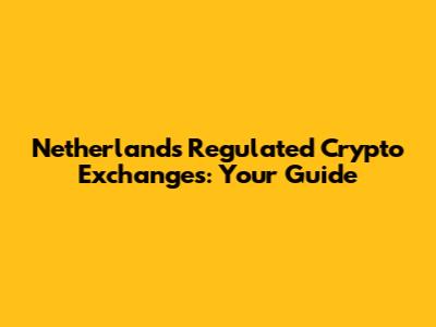 Netherlands Regulated Crypto Exchanges: Your Guide