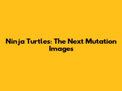 Ninja Turtles: The Next Mutation Images