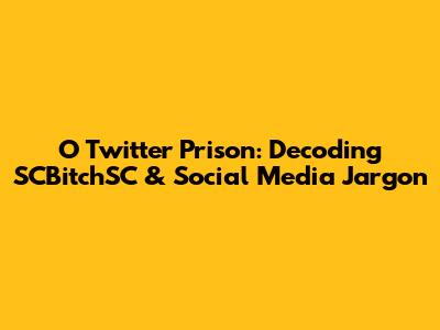 O Twitter Prison: Decoding SCBitchSC & Social Media Jargon