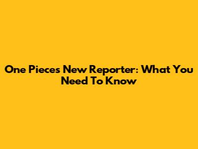 One Piece's New Reporter: What You Need To Know