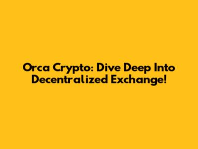 Orca Crypto: Dive Deep Into Decentralized Exchange!