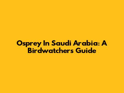 Osprey In Saudi Arabia: A Birdwatcher's Guide