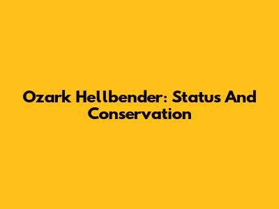 Ozark Hellbender: Status And Conservation