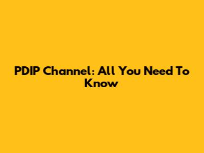 PDIP Channel: All You Need To Know