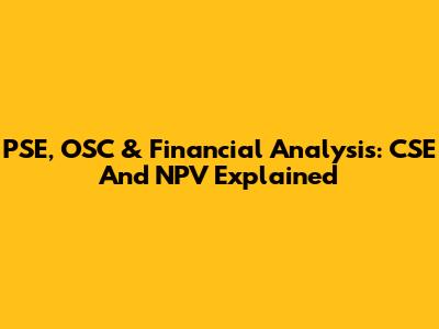 PSE, OSC & Financial Analysis: CSE And NPV Explained