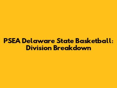 PSEA Delaware State Basketball: Division Breakdown