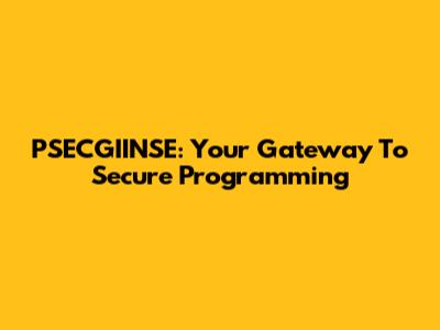 PSECGIINSE: Your Gateway To Secure Programming
