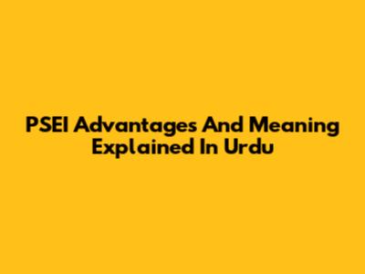 PSEI Advantages And Meaning Explained In Urdu
