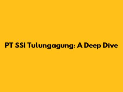 PT SSI Tulungagung: A Deep Dive