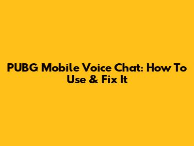 PUBG Mobile Voice Chat: How To Use & Fix It