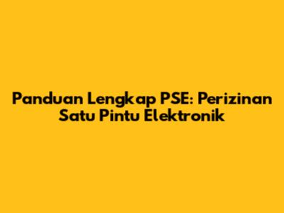 Panduan Lengkap PSE: Perizinan Satu Pintu Elektronik