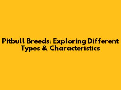 Pitbull Breeds: Exploring Different Types & Characteristics