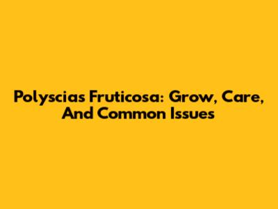 Polyscias Fruticosa: Grow, Care, And Common Issues