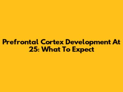 Prefrontal Cortex Development At 25: What To Expect