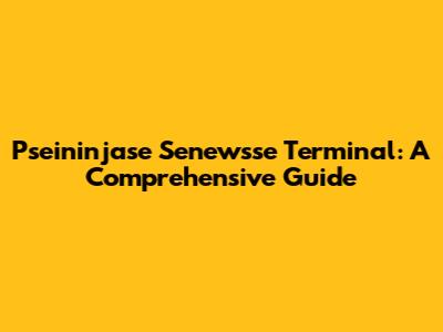 Pseininjase Senewsse Terminal: A Comprehensive Guide
