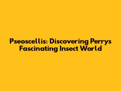 Pseoscellis: Discovering Perry's Fascinating Insect World