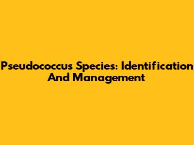 Pseudococcus Species: Identification And Management