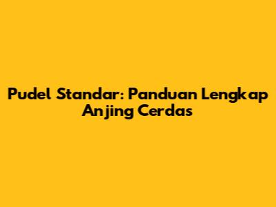 Pudel Standar: Panduan Lengkap Anjing Cerdas