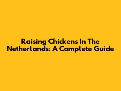 Raising Chickens In The Netherlands: A Complete Guide