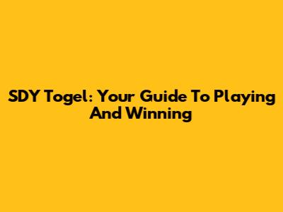 SDY Togel: Your Guide To Playing And Winning