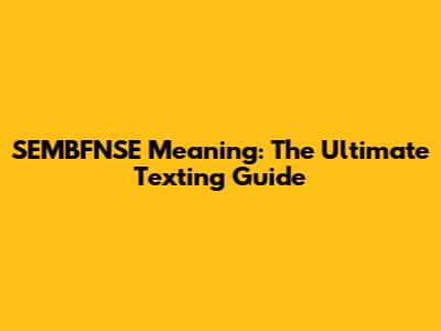 SEMBFNSE Meaning: The Ultimate Texting Guide