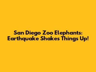 San Diego Zoo Elephants: Earthquake Shakes Things Up!