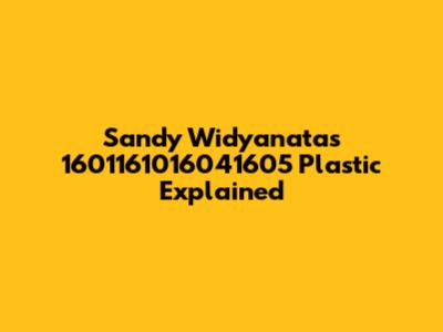 Sandy Widyanata's 1601161016041605 Plastic Explained