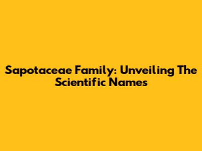 Sapotaceae Family: Unveiling The Scientific Names
