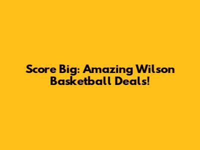 Score Big: Amazing Wilson Basketball Deals!