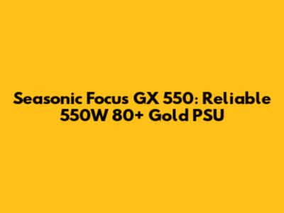 Seasonic Focus GX 550: Reliable 550W 80+ Gold PSU