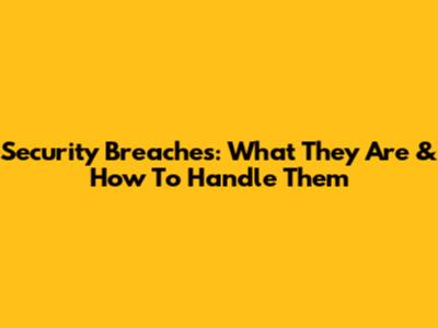 Security Breaches: What They Are & How To Handle Them