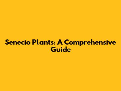 Senecio Plants: A Comprehensive Guide