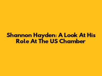 Shannon Hayden: A Look At His Role At The US Chamber