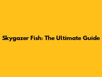 Skygazer Fish: The Ultimate Guide