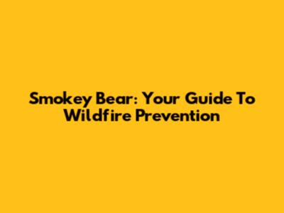 Smokey Bear: Your Guide To Wildfire Prevention