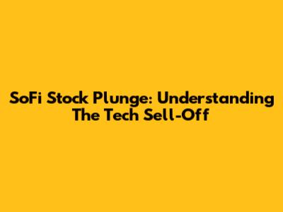 SoFi Stock Plunge: Understanding The Tech Sell-Off
