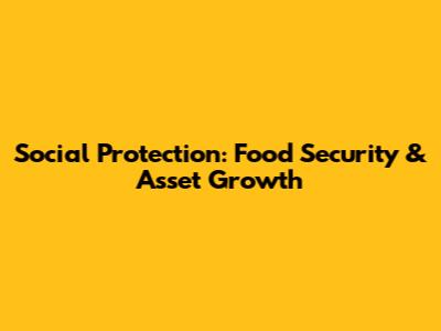 Social Protection: Food Security & Asset Growth