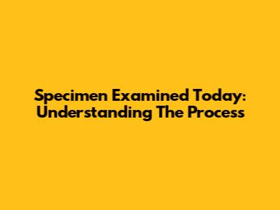 Specimen Examined Today: Understanding The Process