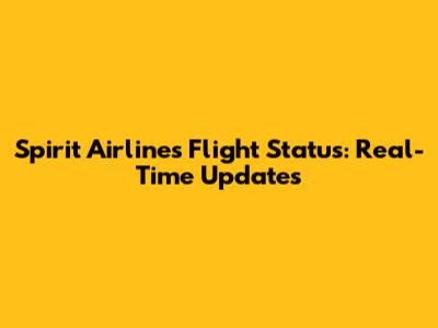 Spirit Airlines Flight Status: Real-Time Updates