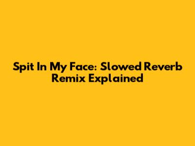 Spit In My Face: Slowed Reverb Remix Explained