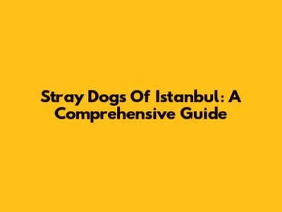 Stray Dogs Of Istanbul: A Comprehensive Guide