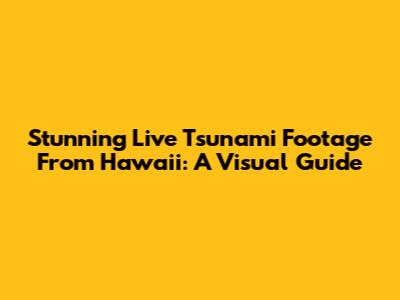 Stunning Live Tsunami Footage From Hawaii: A Visual Guide