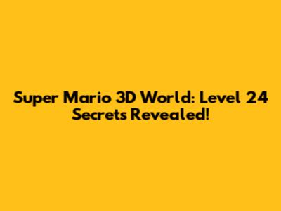 Super Mario 3D World: Level 24 Secrets Revealed!