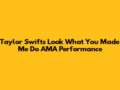 Taylor Swift's 'Look What You Made Me Do' AMA Performance