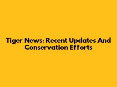 Tiger News: Recent Updates And Conservation Efforts
