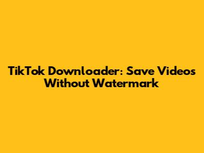 TikTok Downloader: Save Videos Without Watermark