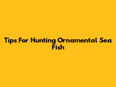 Tips For Hunting Ornamental Sea Fish