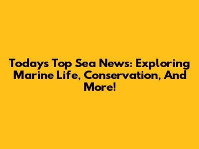 Today's Top Sea News: Exploring Marine Life, Conservation, And More!